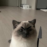 SayMai Jittiga profile icon