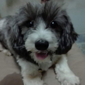 นัฐนันท์ คนมี profile icon