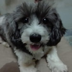 นัฐนันท์ คนมี profile icon