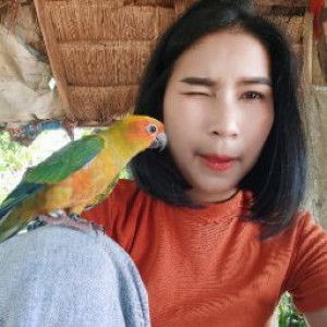 May Wisa profile icon