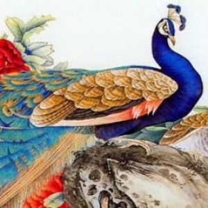 Sasikala Panirselvam profile icon