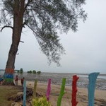 Umma Abdulbashir profile icon