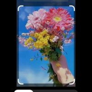 Winda Nafiya profile icon