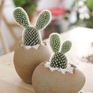 Dyan no profile icon