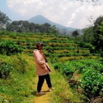 Rina Ariyani profile icon