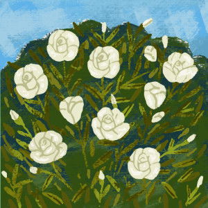 NHazwani Z profile icon