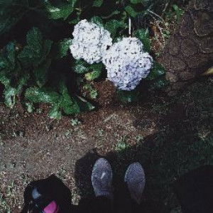 xxincsrah profile icon