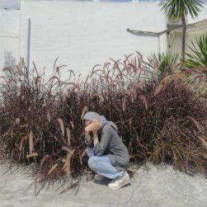 merritania pramudita profile icon