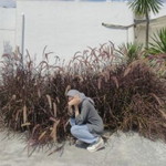 merritania pramudita profile icon