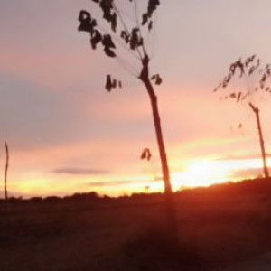 Jho Ann Borro profile icon