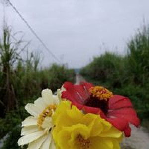 Yulianti Wid profile icon