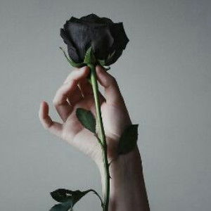 Nurul Latifah profile icon