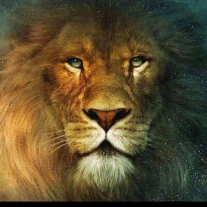 Monica Soeroso profile icon