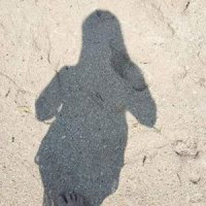 Dina Rose Bongaitan profile icon