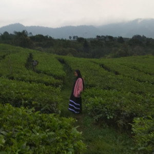 Nina Farida profile icon