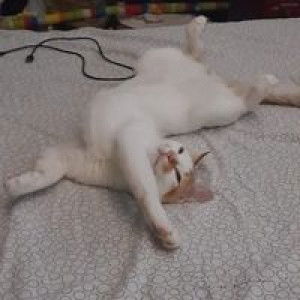 Aff Nan profile icon