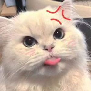 Nc Poohh profile icon