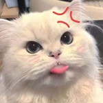 Nc Poohh profile icon