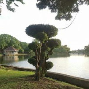 Mazuenee Binti Hawan profile icon