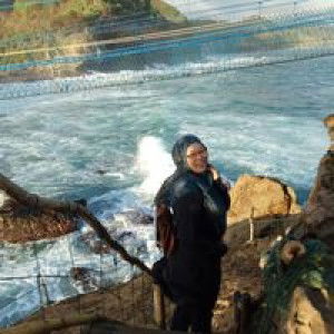 Angah Anim profile icon