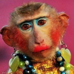 Franshandoko YTB profile icon