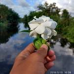 hambar satrup077 profile icon