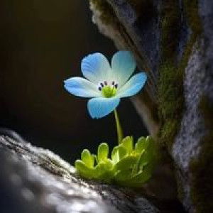 Kan Kan profile icon