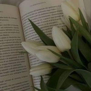 Haeylaa Rosess profile icon