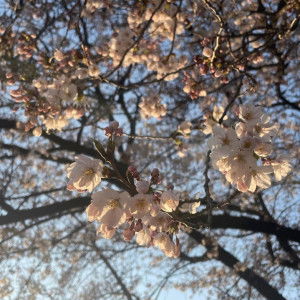 puteri_ jaslin profile icon