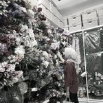 Aynar Dilah profile icon