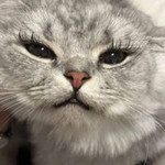 Caroline Li profile icon