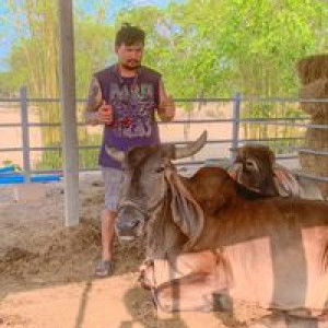 Wut Gendai profile icon