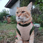 ตุ้ยมุ้ยตุ้ยใจ profile icon