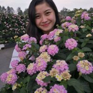 Livia Yulianti profile icon