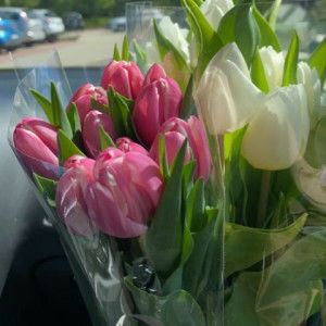 ayu kusumaa profile icon