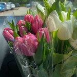 ayu kusumaa profile icon