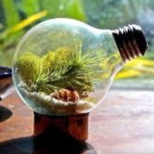 Lisa Oktavia Setyaningrum profile icon