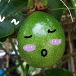 Thanankorn Sutthikul profile icon