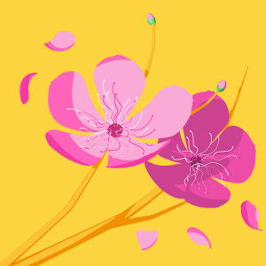 Ummu Abdurrahman profile icon