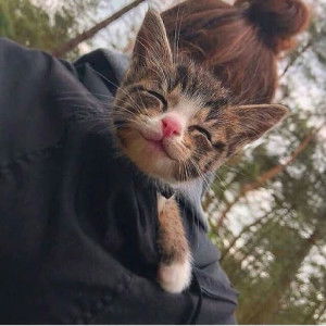 Risma Ridhayanti profile icon