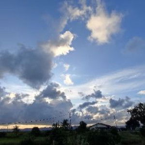 Amni Mesri profile icon