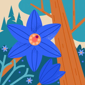 Novi Intan profile icon