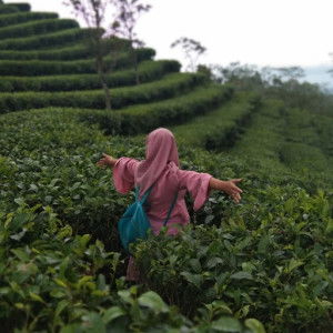 Meilanda rohayani profile icon