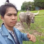 ช่าง เหวิ๋น จัดไห้ profile icon