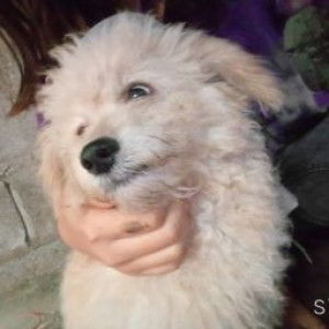 Minny Loveyou profile icon