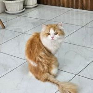 ขวัญชนก สืบพันธ์โพธิ์ profile icon