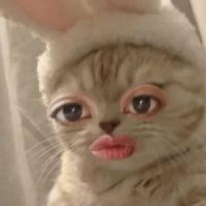 Mòķ Tone profile icon