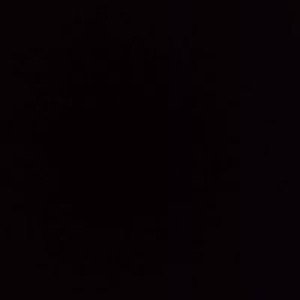 นิศาลักษณ์ วงศ์แก้ว profile icon