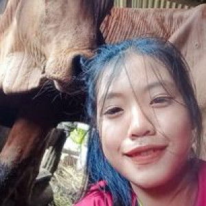 พิมลวรรณ  ใจประดิษฐ์ profile icon