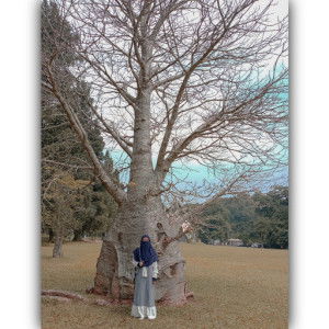 WulanYura_371 profile icon